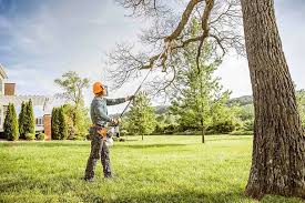 Seasonal Cleanup (Spring/Fall) in Pomona, CA